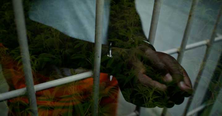 Did Ohio's THC reform just create a bunch of new crimes?