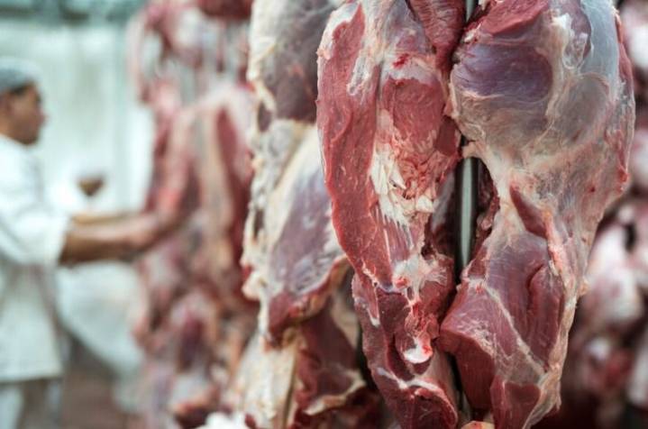 Cinco plantas exportarán carne bovina colombiana a Chile