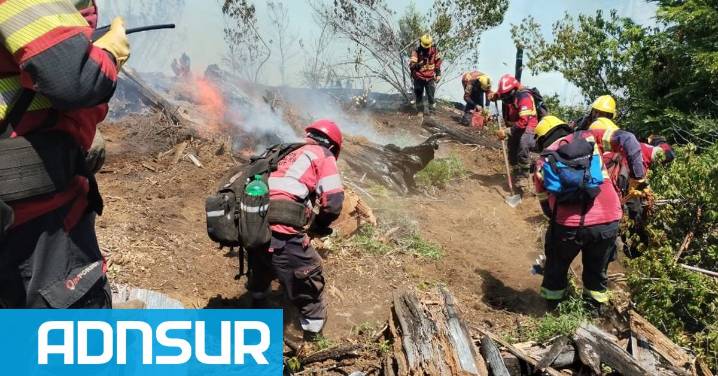 22:09 El Turbio: cómo sigue el incendio forestal y qué tareas realizarán los brigadistas