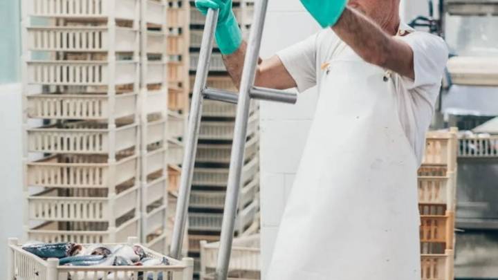 Mar del Plata: cerró una conservera y despidió a unos 40 trabajadores