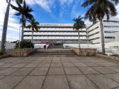 290 MDP a empresa defraudadora