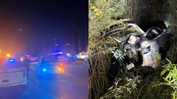 Indian-origin mental health platform founder crashes Tesla, throws alcohol at cops