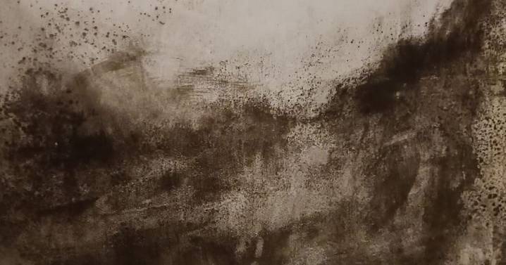 Photos show state of mouldy East London home where baby was living before he died