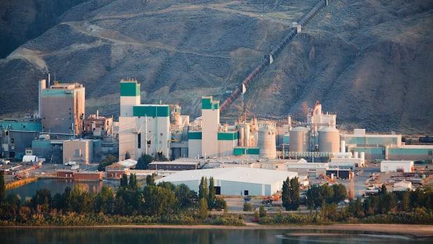 Why this B.C. pulp mill wants to produce hydrogen