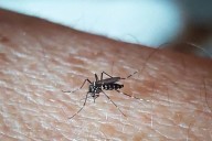 Nuevo estudio global vincula el cambio climático con un preocupante aumento de enfermedades infecciosas