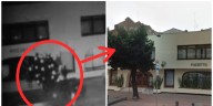 Éxito de la serie ‘Estado de fuga 1986′ recordó el árbol que sobrevivió a la masacre del restaurante Pozzeto en Bogotá: sigue ahí