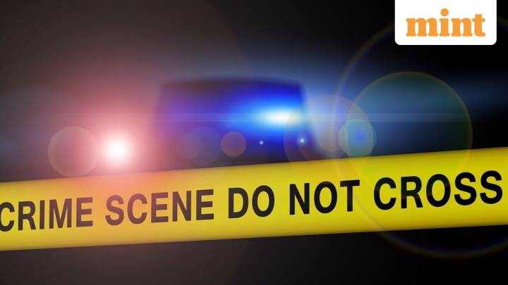 France: Vehicle rams into crowd during Christmas event in Guadeloupe; 10 killed