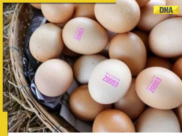 Eggoz under fire over cancer causing substance, know what health expert says
