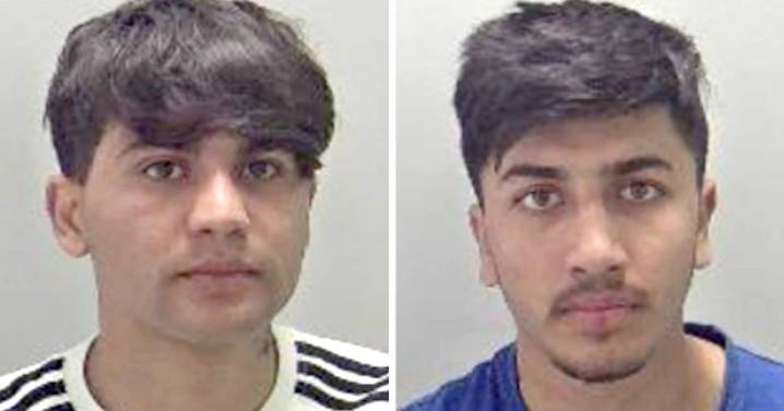 Teen migrants raped girl, 15, in UK park months after arriving on small boats