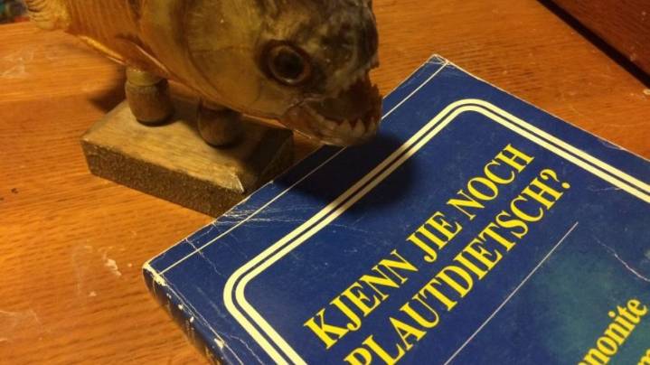 Plautdietsch Classified as an 'Endangered Species' in Steinbach