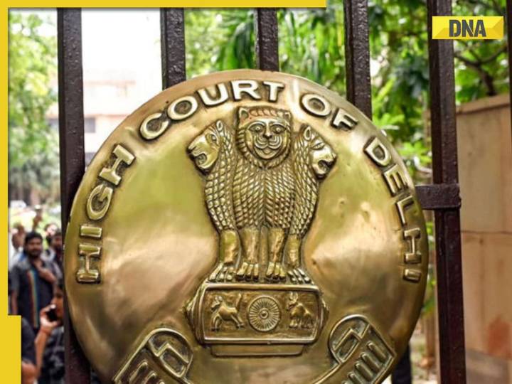 IndiGo Chaos: Delhi HC pulls up Centre, asks 'Who is responsible...'