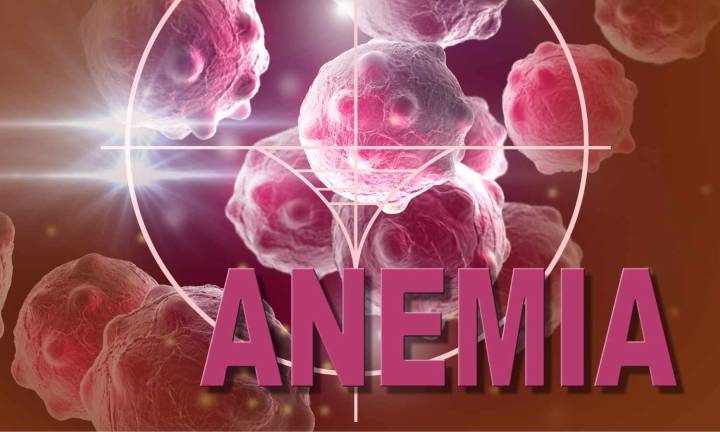 FDA Approves First Cellular Therapy to Treat Patients with Severe Aplastic Anemia
