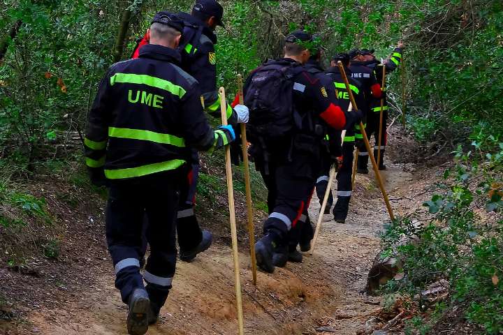 Encuentran 50 jabalíes muertos en la 'zona cero' de la sierra de Collserola (Barcelona) afectada por la peste porcina africana