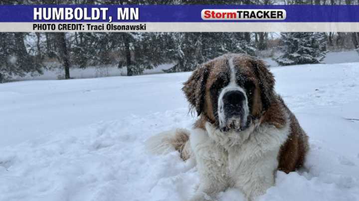 Weather gallery for December 10, 2025