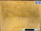 Michigan prisons to photocopy all mail to combat drug smuggling