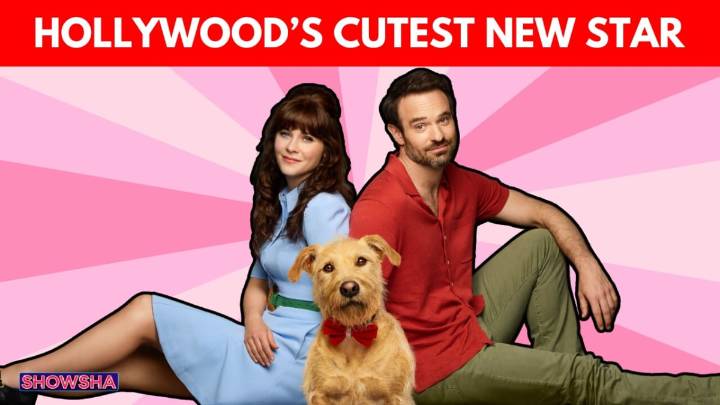 Zooey Deschanel & Charlie Cox Shower Praise On Gus, The Star Pup Of Their Rom