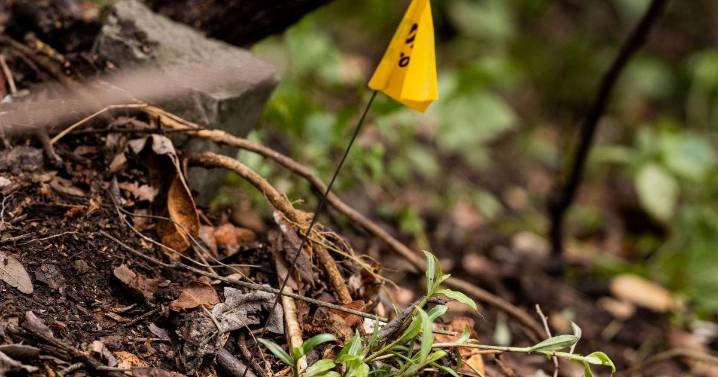 Restos óseos hallados en el mirador de Topilejo podrían ser de dos personas
