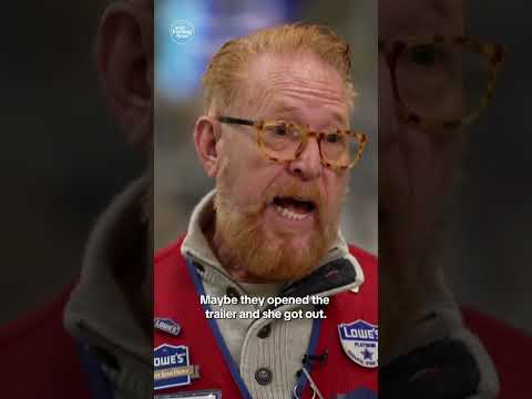 When a Lowe's store cat disappeared, staff pulled out all the stops to find her #shorts