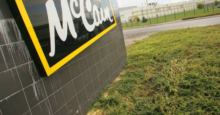 McCain tater tots recalled due to pieces of plastic