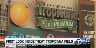 First look inside "New" Tropicana Field2