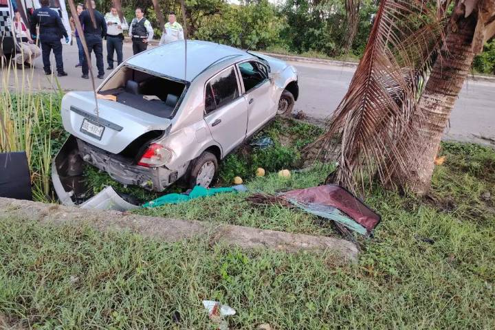 Conductor termina estrellado contra una palmera por manejar a exceso de velocidad en Chetumal