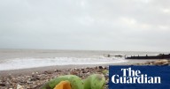 Public urged to stay away after ship containers of bananas wash up in West Sussex