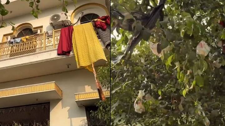 Varanasi Couple Uses Tree To Dispose Baby's Diapers! 'Don't They Have A Dustbin,' Question Internet