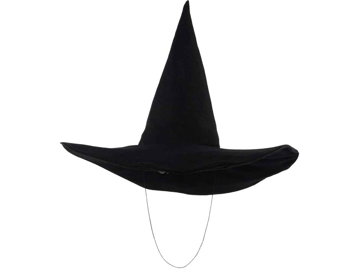 Wicked Witch's flying hat sells for $575,000