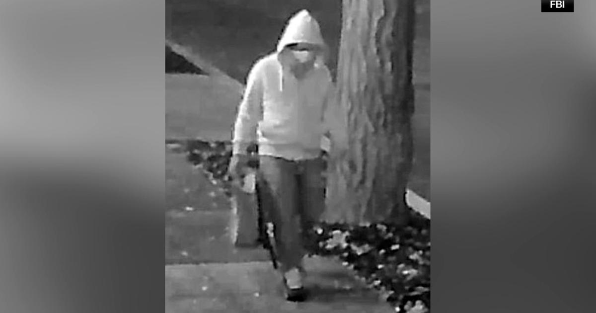 FBI makes arrest in DC pipe bomber investigation, sources say