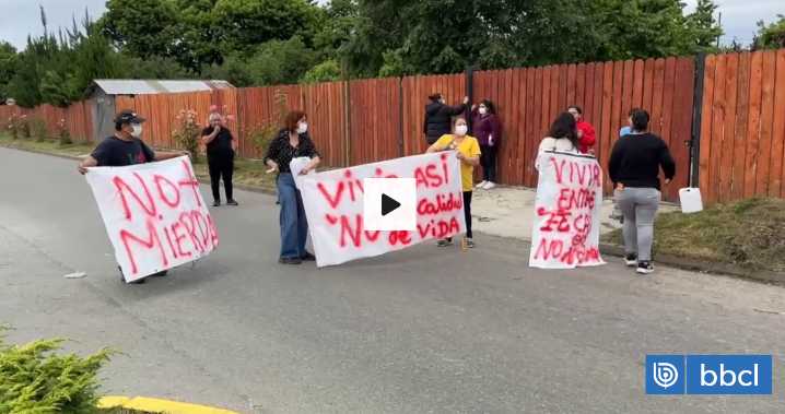 Excremento y ruidos: vecinos de Antilhue en Los Lagos protestaron por presencia de cientos de aves