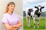 “Se ha mezclado la ignorancia y la ideología”. Expertos cuestionan el proyecto de la diputada K que impulsa un impuesto a los gases de las vacas