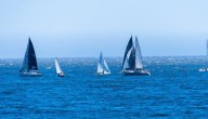 Viña del Mar conmemorará los 151 años de su fundación con espectacular regata en el borde costero