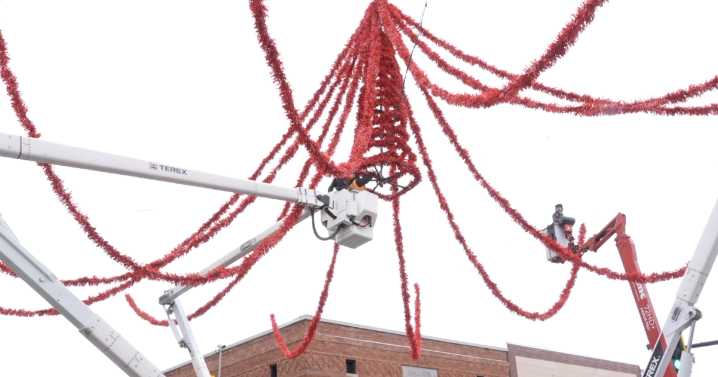 'It's very special': Famous Christmas Spiders back for holidays