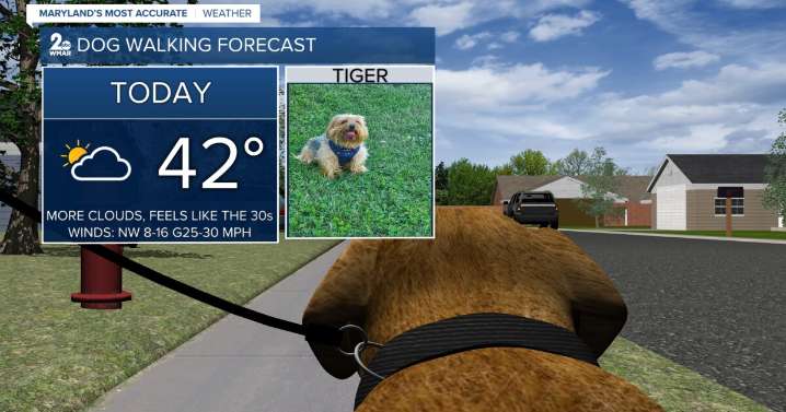 More clouds today; possible light snow on Friday!