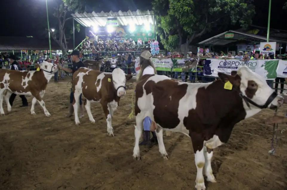 Ya preparan la Expo Feria Falcón 2025 (+Fecha)