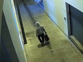 Suspect in DC pipe bomb case said to have confessed in interviews with investigators, AP sources say