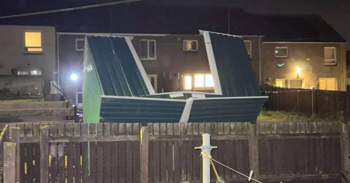 Edinburgh and Lothians rocked by Storm Bram with fallen trees and 'flying debris'