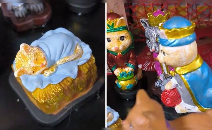 Joven queda en shock al encontrar nacimiento 'gatuno' de Navidad y redes estallan: “Para los cat