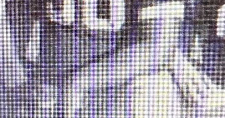 PV's Harris showed natural leadership skills in athletics