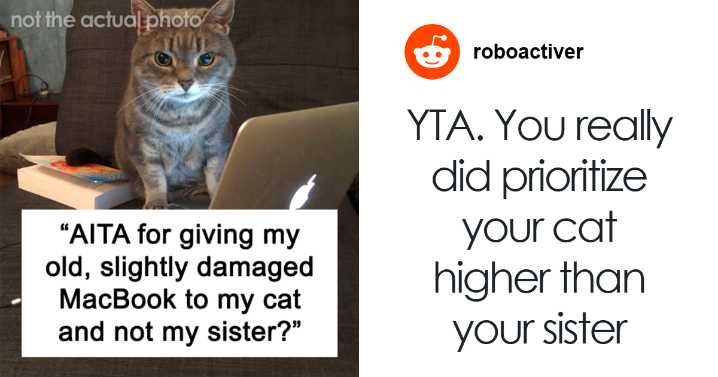 Guy Splits The Internet After Giving His Old Laptop To His Cat Instead Of His Sister