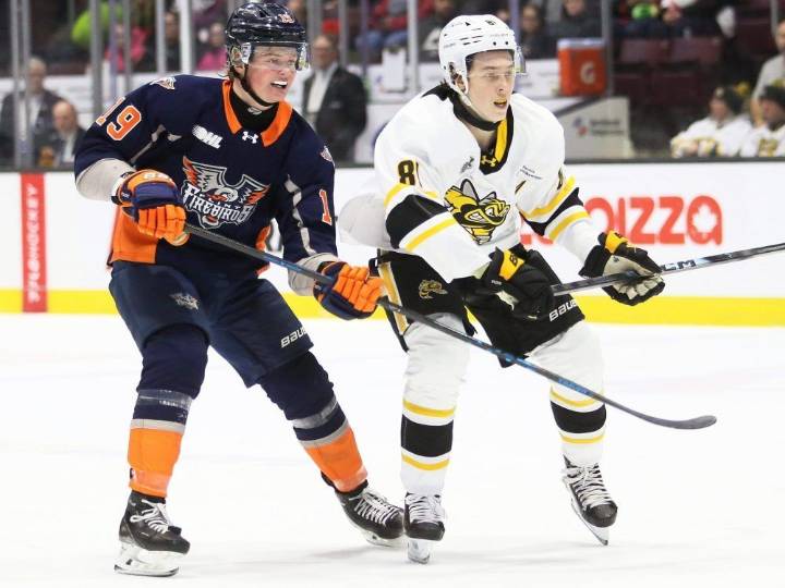 Sarnia Sting beat Flint Firebirds in overtime for second straight win