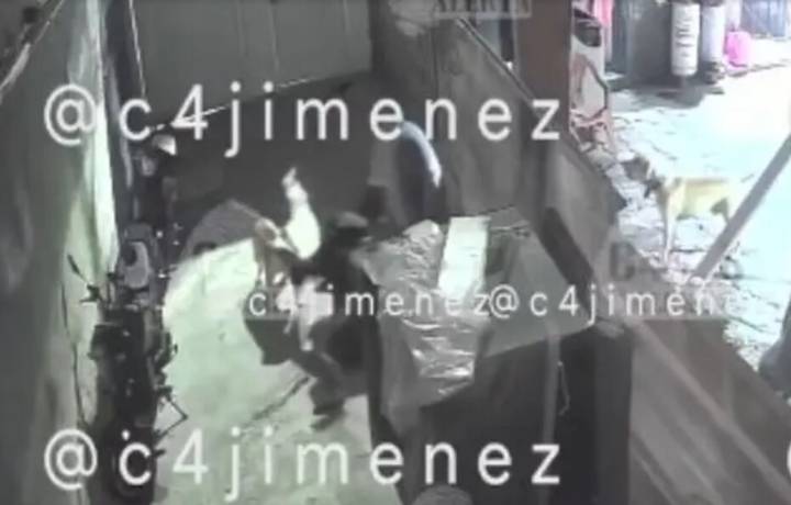 Filtran brutal ataque de 3 perros pitbull a mujer