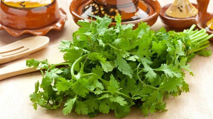 How to grow vegetables at home