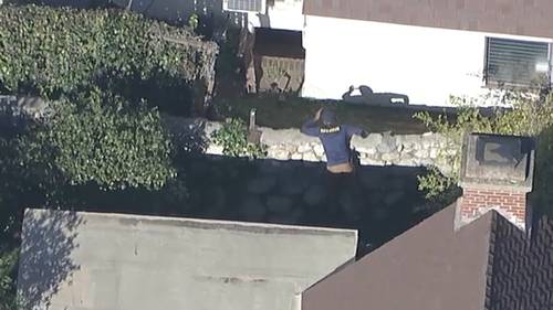 California Department of Fish and Wildlife seen at Altadena home searching for bear living underneath man's home