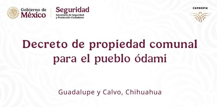 En Vivo: Preside Sheinbaum el decreto de propiedad comunal para el pueblo ódami, en Guadalupe y Calvo