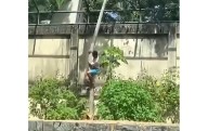 Video: Muere tras entrar a la jaula de una leona en zoológico de Brasil