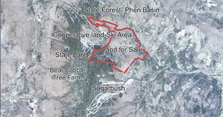 Mad River Glen wants to buy 1,100 acres near resort