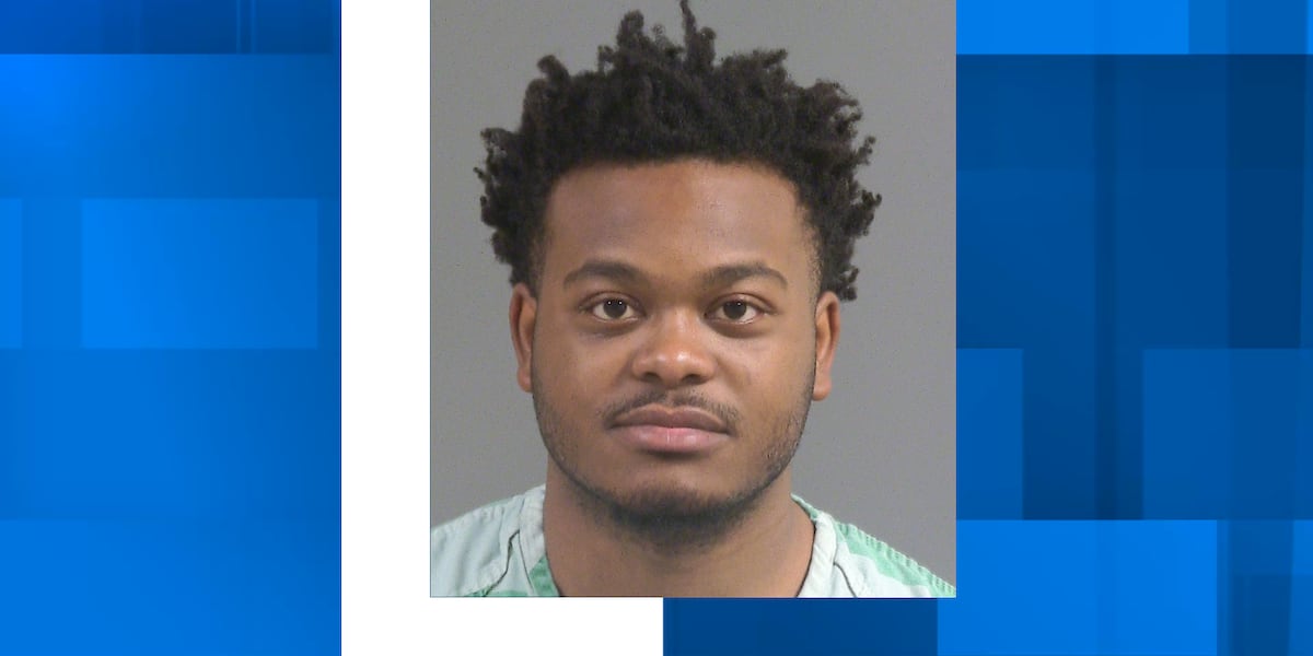 North Charleston Police arrest felon accused of having gun, cocaine in car