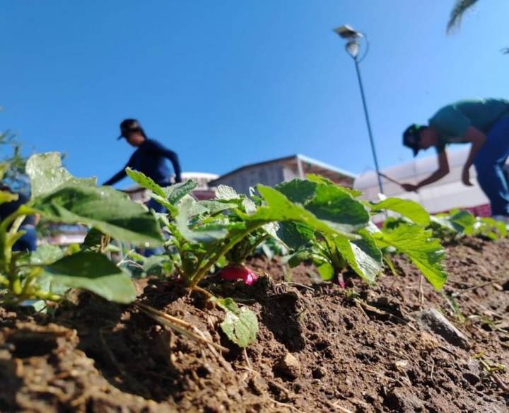 Preparatoria 19 vincula su labor de agricultura urbana con la cooperativa barcelonesa Tarpuna