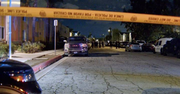 A young musician was gunned down in Northridge. Did childhood friends set her up?